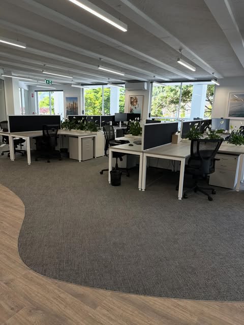 Clean modern office with plants on the desks